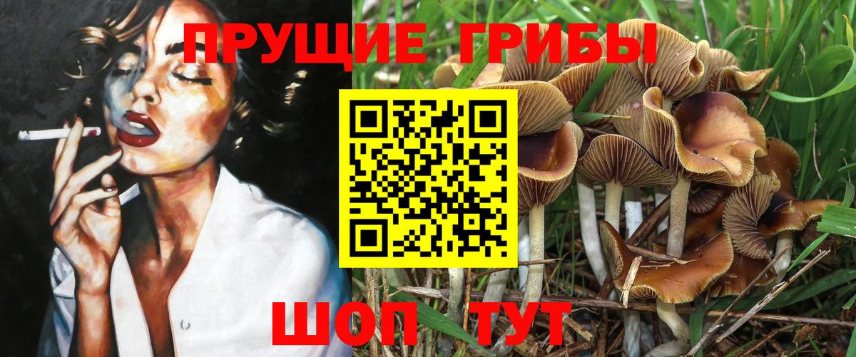 Псилоцибиновые грибы Magic Shrooms  Вход с VPN  Тамбов 